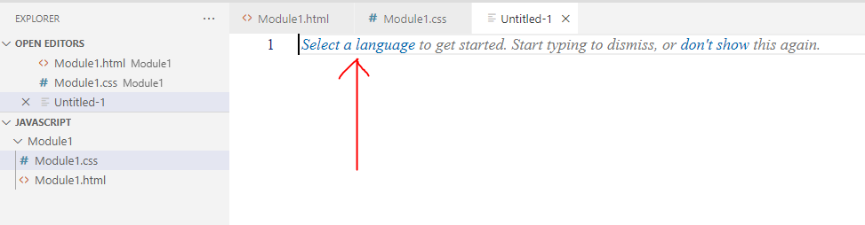 Visual Studio Code JavaScript 2