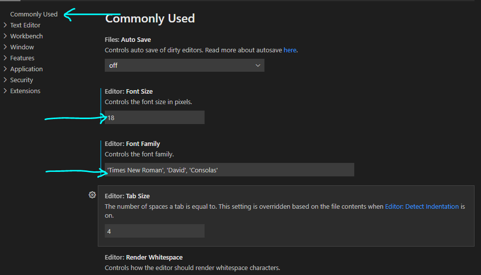 Visual Studio Code Settings 2